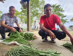 Haris dan Sayur dari Balik Jeruji: Jembatan Harapan Warga Binaan Lapas Pohuwato