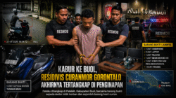 Kabur ke Buol, Residivis Curanmor Gorontalo Akhirnya Tertangkap di Penginapan