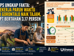 BPS Ungkap Fakta: Pekerja Paruh Waktu di Gorontalo Naik Tajam, Tingkat Pengangguran Terbuka Bertahan 3,17 Persen