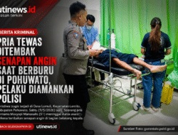 Tragis! Pria di Pohuwato Tewas Ditembak Senapan Angin Saat Berburu, Pelaku Ditangkap Polisi