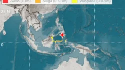 Breaking News! BMKG Keluarkan Peringatan Dini Tsunami Usai Gempa M7,7 di Laut Sulawesi